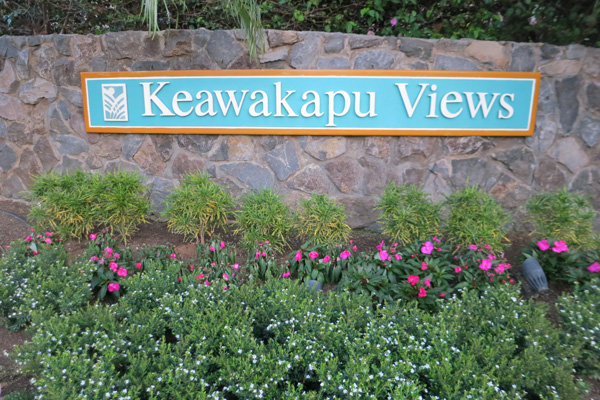 keawakapu views homes for sale kihei