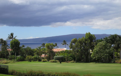 Maui Land For Sale