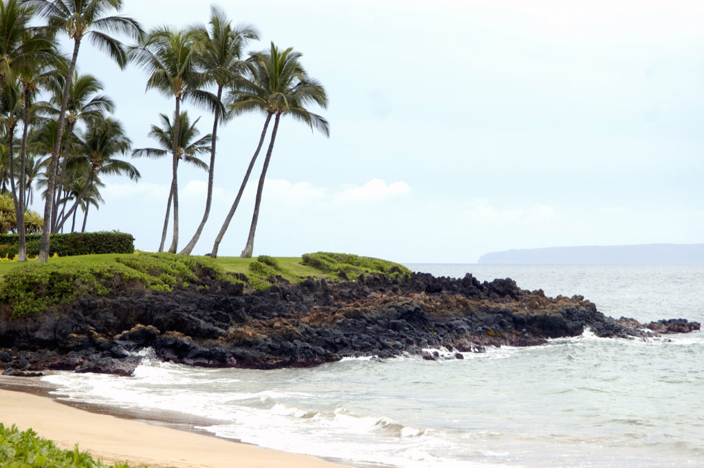 Maui Real Estate Listing Status